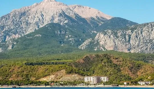 Çamyuva